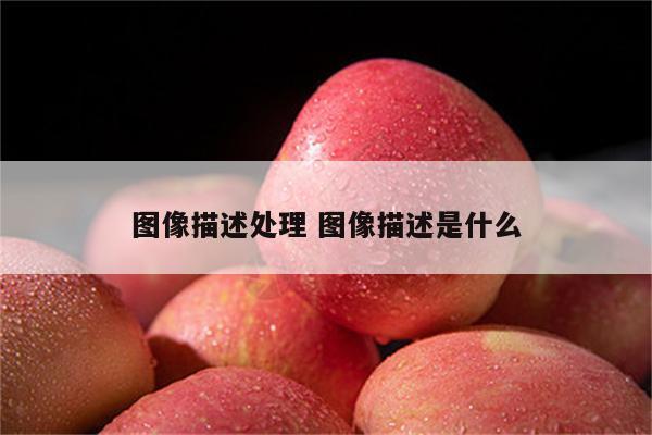 图像描述处理 图像描述是什么