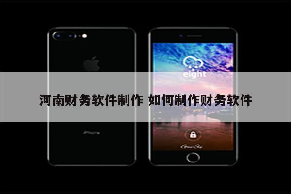 河南财务软件制作 如何制作财务软件