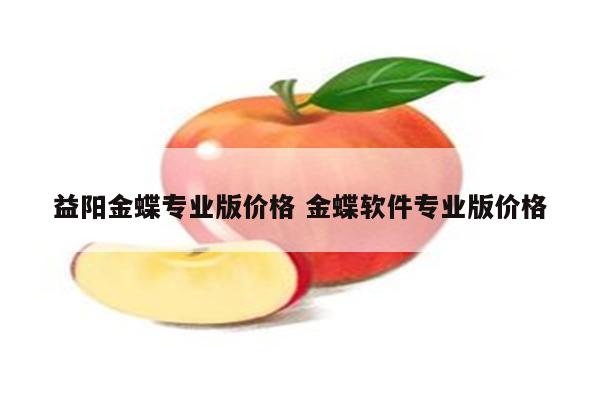益阳金蝶专业版价格 金蝶软件专业版价格