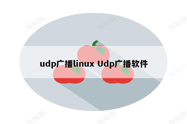 udp广播linux Udp广播软件