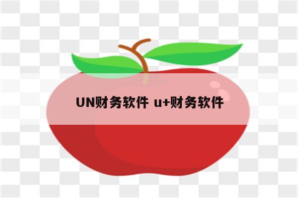 UN财务软件 u+财务软件