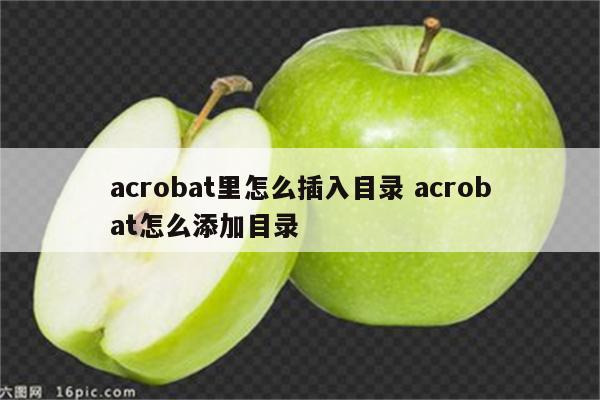 acrobat里怎么插入目录 acrobat怎么添加目录