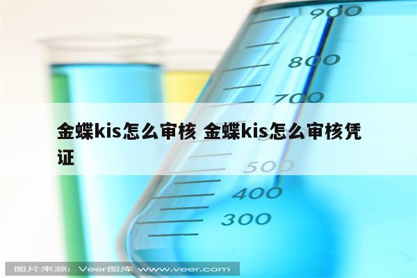 金蝶kis怎么审核 金蝶kis怎么审核凭证