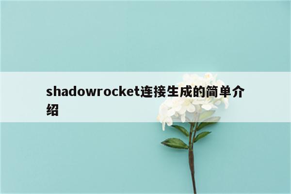 shadowrocket连接生成的简单介绍