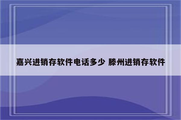 嘉兴进销存软件电话多少 滕州进销存软件