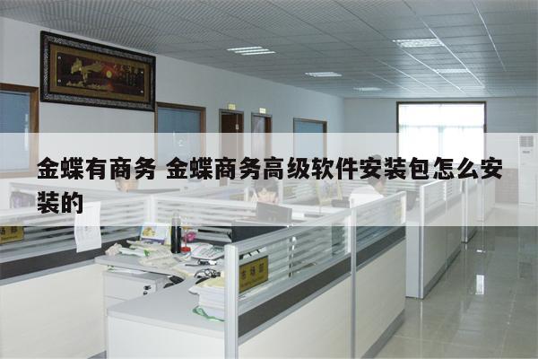金蝶有商务 金蝶商务高级软件安装包怎么安装的