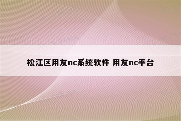 松江区用友nc系统软件 用友nc平台