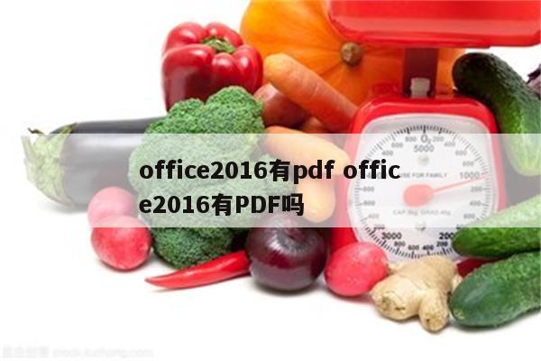 office2016有pdf office2016有PDF吗