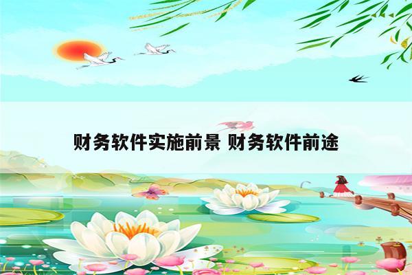财务软件实施前景 财务软件前途