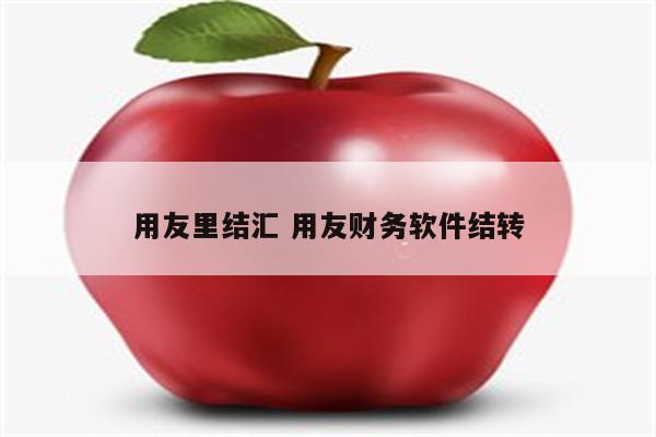 用友里结汇 用友财务软件结转
