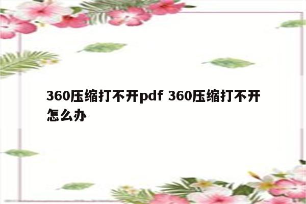 360压缩打不开pdf 360压缩打不开怎么办