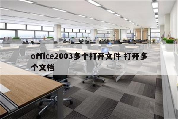 office2003多个打开文件 打开多个文档