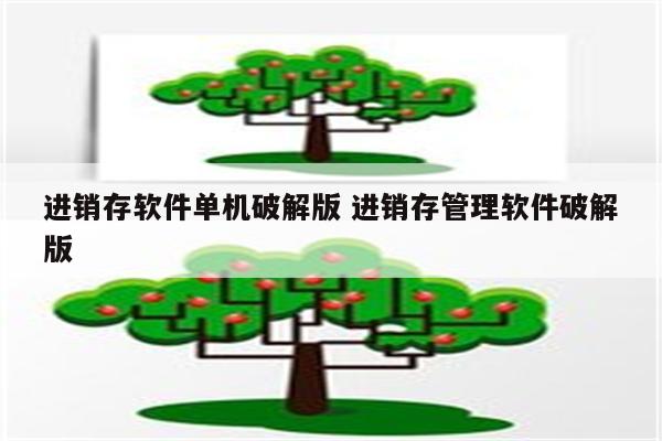 进销存软件单机破解版 进销存管理软件破解版