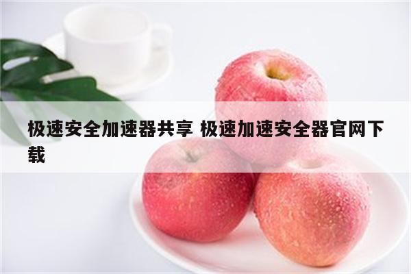 极速安全加速器共享 极速加速安全器官网下载