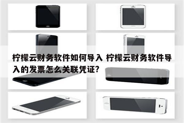 柠檬云财务软件如何导入 柠檬云财务软件导入的发票怎么关联凭证?