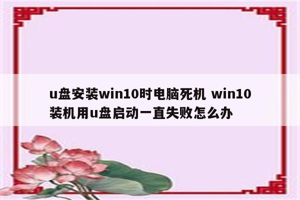 u盘安装win10时电脑死机 win10装机用u盘启动一直失败怎么办