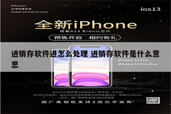 进销存软件进怎么处理 进销存软件是什么意思