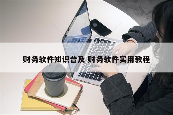 财务软件知识普及 财务软件实用教程
