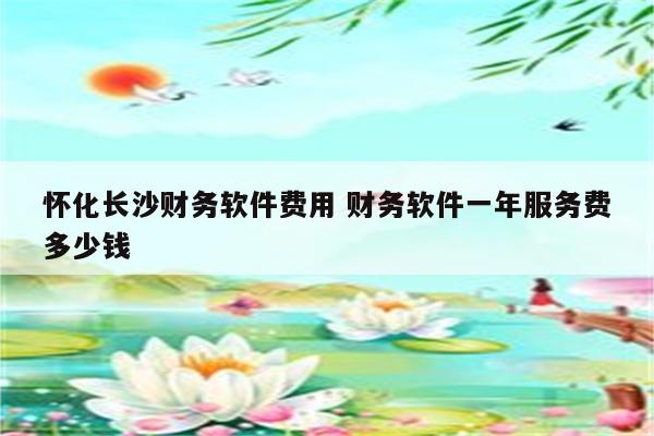 怀化长沙财务软件费用 财务软件一年服务费多少钱