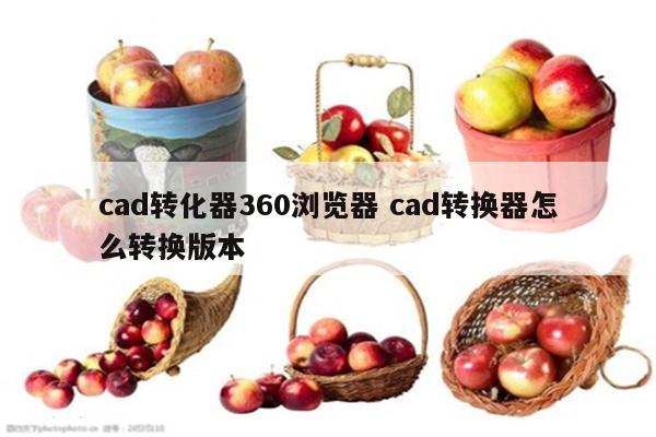 cad转化器360浏览器 cad转换器怎么转换版本