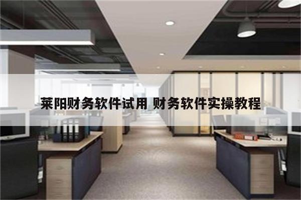 莱阳财务软件试用 财务软件实操教程