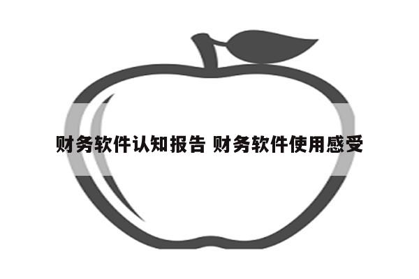 财务软件认知报告 财务软件使用感受