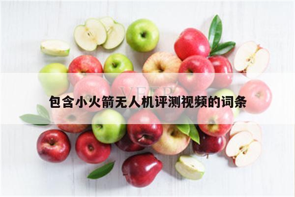 包含小火箭无人机评测视频的词条