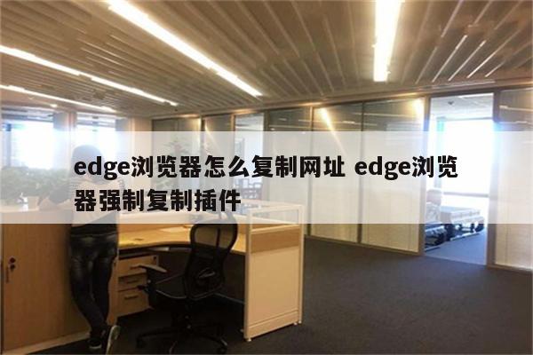 edge浏览器怎么复制网址 edge浏览器强制复制插件