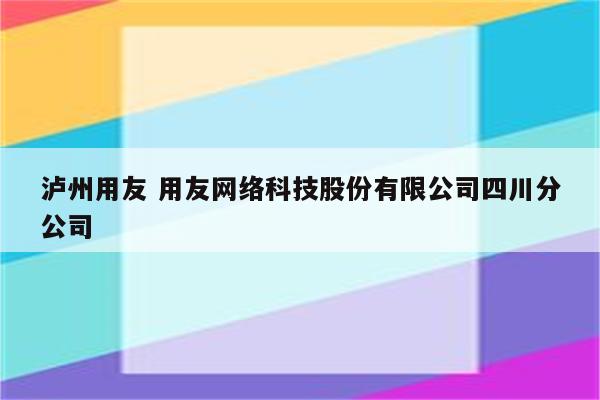 泸州用友 用友网络科技股份有限公司四川分公司
