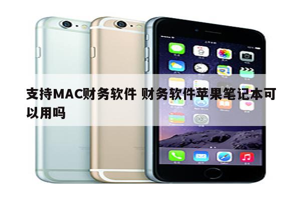 支持MAC财务软件 财务软件苹果笔记本可以用吗