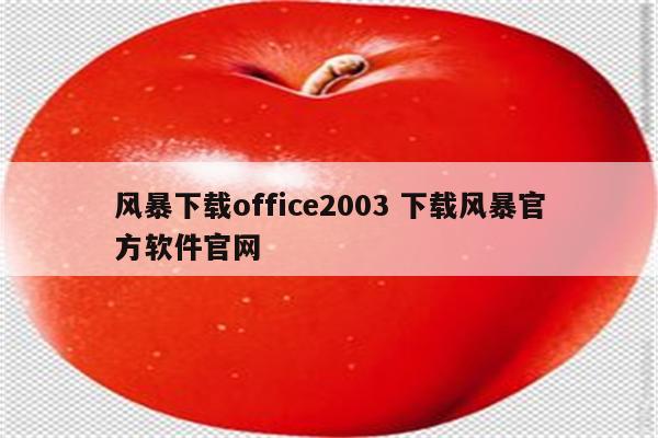 风暴下载office2003 下载风暴官方软件官网