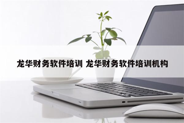龙华财务软件培训 龙华财务软件培训机构