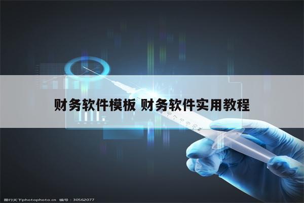 财务软件模板 财务软件实用教程