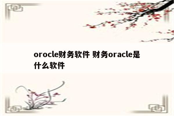 orocle财务软件 财务oracle是什么软件
