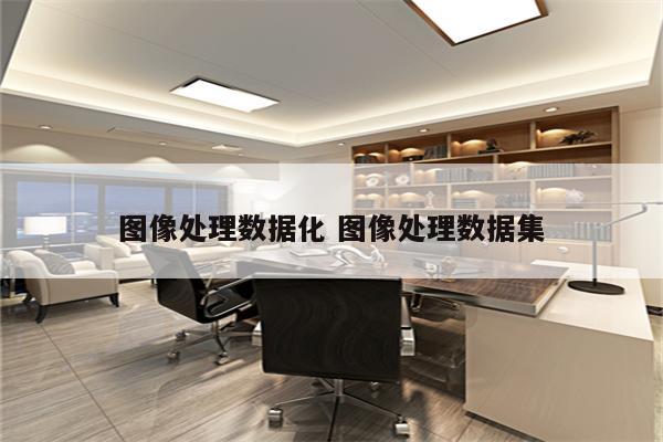 图像处理数据化 图像处理数据集