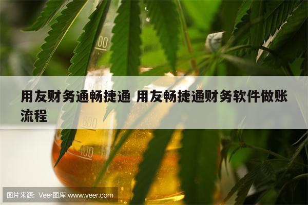 用友财务通畅捷通 用友畅捷通财务软件做账流程