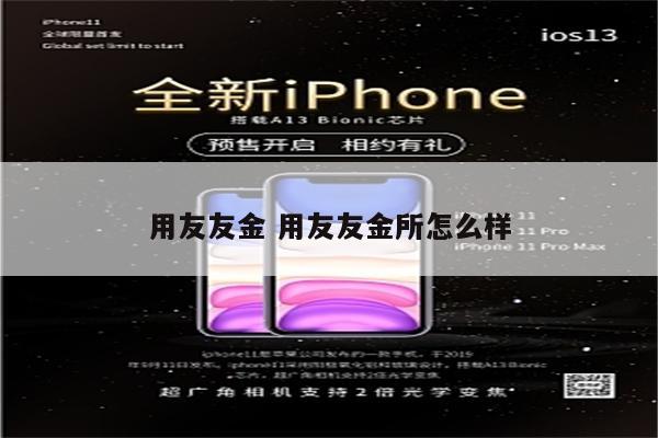 用友友金 用友友金所怎么样