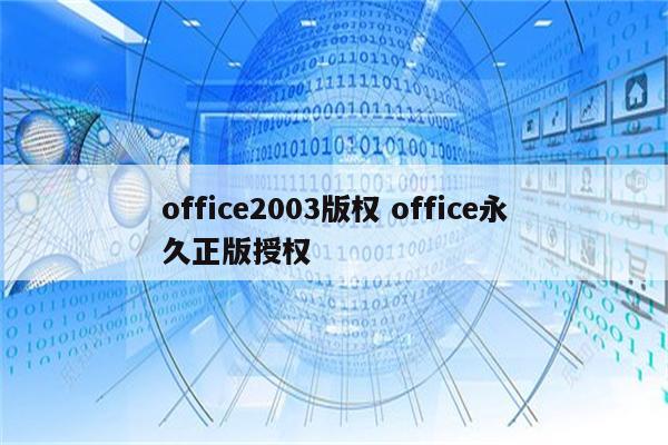 office2003版权 office永久正版授权