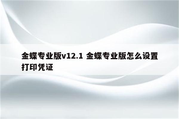 金蝶专业版v12.1 金蝶专业版怎么设置打印凭证