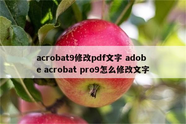 acrobat9修改pdf文字 adobe acrobat pro9怎么修改文字