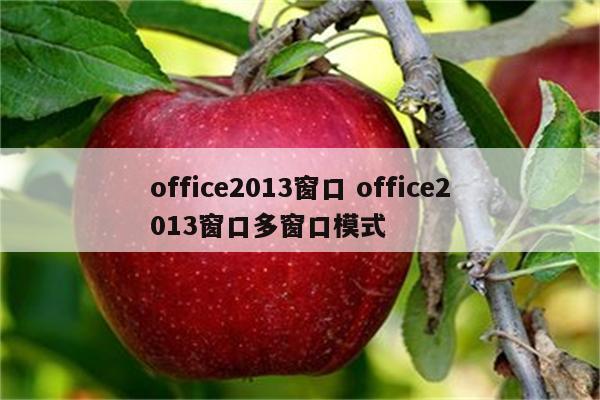office2013窗口 office2013窗口多窗口模式