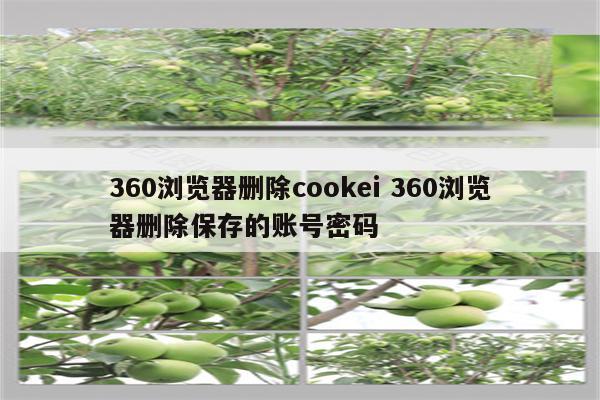 360浏览器删除cookei 360浏览器删除保存的账号密码
