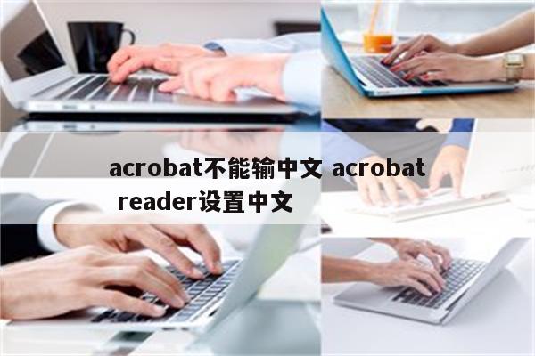 acrobat不能输中文 acrobat reader设置中文