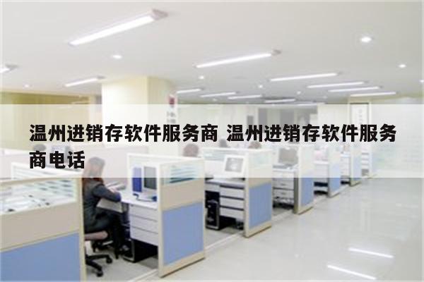 温州进销存软件服务商 温州进销存软件服务商电话