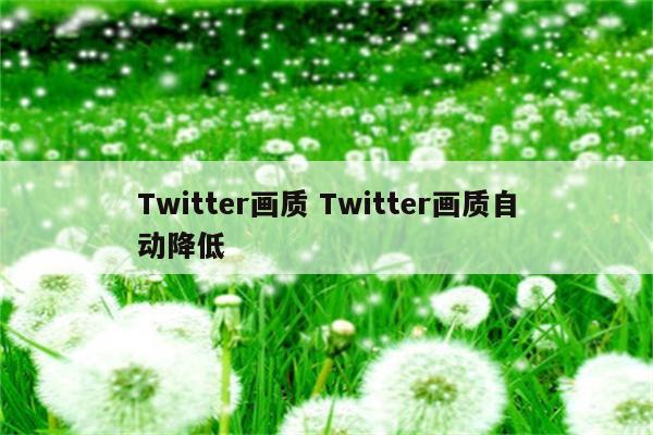 Twitter画质 Twitter画质自动降低