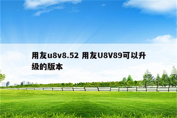 用友u8v8.52 用友U8V89可以升级的版本