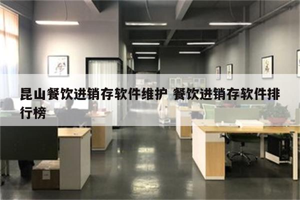 昆山餐饮进销存软件维护 餐饮进销存软件排行榜