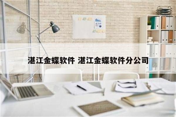 湛江金蝶软件 湛江金蝶软件分公司