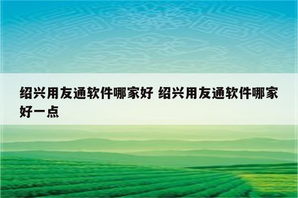 绍兴用友通软件哪家好 绍兴用友通软件哪家好一点