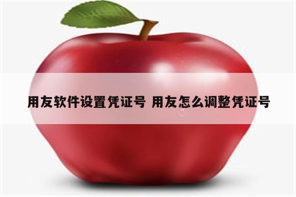 用友软件设置凭证号 用友怎么调整凭证号